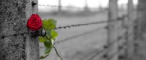 giorno-della-memoria-600x250